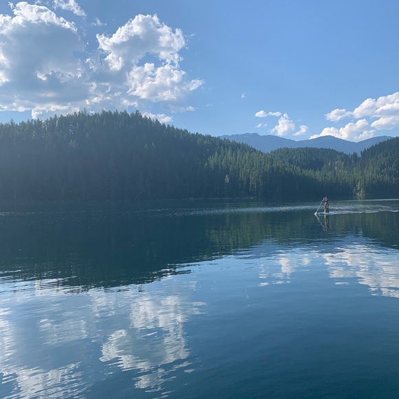 Meet your Posher, Miss P - Picture 1 of 1